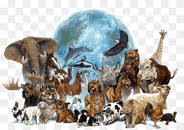 Imagem de fauna silvestre